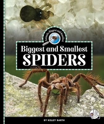 Biggest and Smallest Spiders by Barth, Kelley