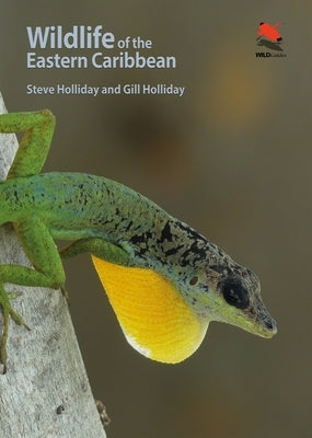 Wildlife of the Eastern Caribbean by Holliday, Steve
