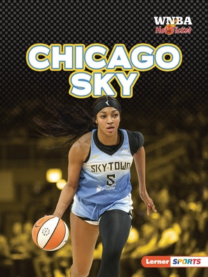 Chicago Sky by Anderson, Josh