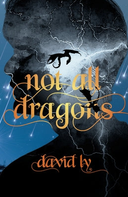 Not All Dragons by Ly, David