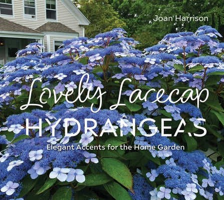 Lovely Lacecap Hydrangeas: Elegant Accents for the Home Garden by Harrison, Joan