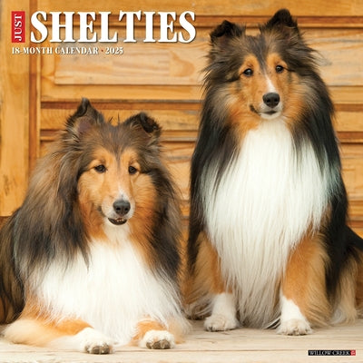 Shelties 2026 12 X 12 Wall Calendar by Willow Creek Press