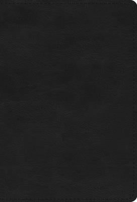 ESV Large Print Compact Bible, Red Letter (Trutone, Black) by Esv Bibles