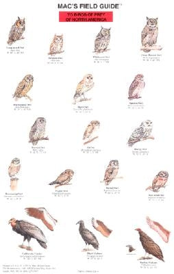 Mac's Field Guides: North American Birds of Prey by Macgowan, Craig