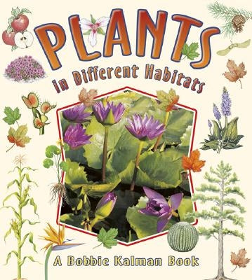 Plants in Different Habitats by Kalman, Bobbie