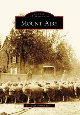 Mount Airy by Jarvis, Elizabeth Farmer