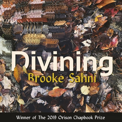 Divining by Sahni, Brooke