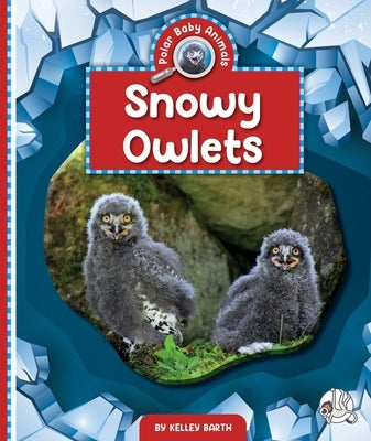 Snowy Owlets by Barth, Kelley