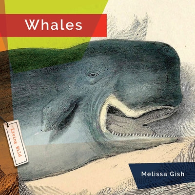 Whales by Gish, Melissa