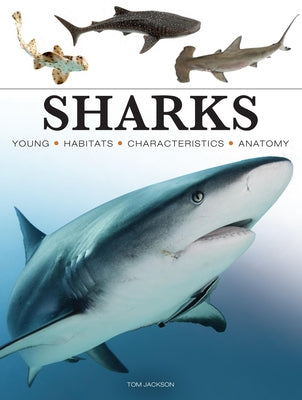 Sharks & Underwater Predators by Jackson, Tom