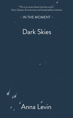 Dark Skies by Levin, Anna