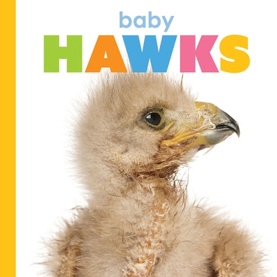 Baby Hawks by Greve, Meg