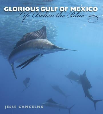 Glorious Gulf of Mexico: Life Below the Blue Volume 28 by Cancelmo, Jesse