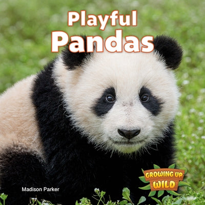 Playful Pandas by Parker, Madison
