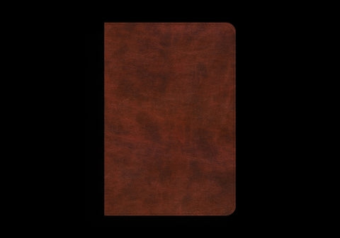 ESV Bible Promises: 700 Passages to Strengthen Your Faith (Trutone, Brown) by O'Donnell, Douglas Sean