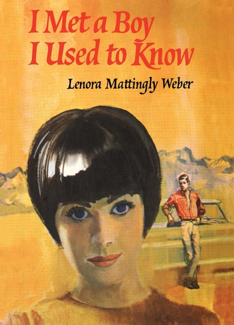 I Met a Boy I Used to Know by Mattingly Weber, Lenora