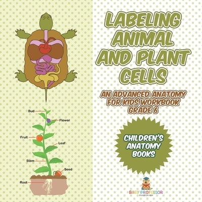 Labeling Animal and Plant Cells - An Advanced Anatomy for Kids Workbook Grade 6 Children's Anatomy Books by Baby Professor