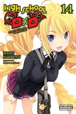 High School DXD, Vol. 14 (Light Novel) by Ishibumi, Ichiei