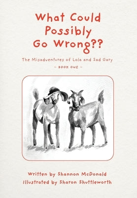 What Could Possibly Go Wrong by McDonald, Shannon