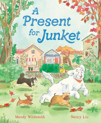 A Present for Junket by Wildsmith, Mandy