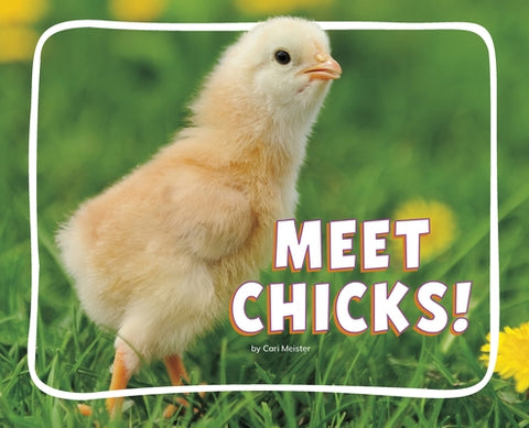 Meet Chicks! by Meister, Cari