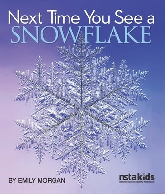 Next Time You See a Snowflake by Morgan, Emily