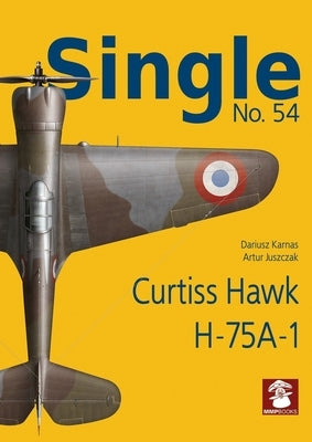Curtiss Hawk H-75a-1 by Juszczak, Artur