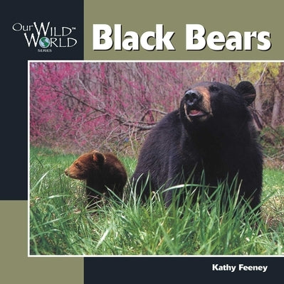Black Bear by Feeney, Kathy