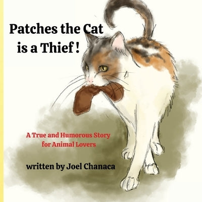 Patches The Cat is a Thief ! by Chanaca, Joel
