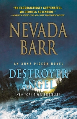 Destroyer Angel by Barr, Nevada