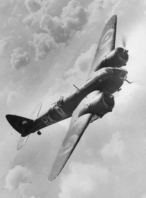 Bristol Blenheim by Bird, Andrew