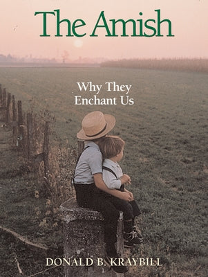 The Amish: Why They Enchant Us by Kraybill, Donald B.