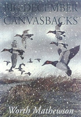 Big December Canvasbacks, Revised by Mathewson, Worth
