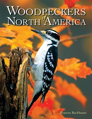 Woodpeckers of North America by Backhouse, Frances