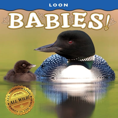 Loon Babies! by Jones, Donald