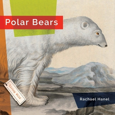 Polar Bears by Hanel, Rachael