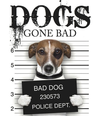 Dogs Gone Bad by Russell, Jack