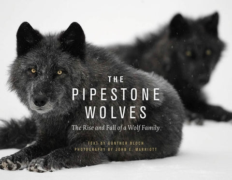 The Pipestone Wolves: The Rise and Fall of a Wolf Family by Bloch, Günther