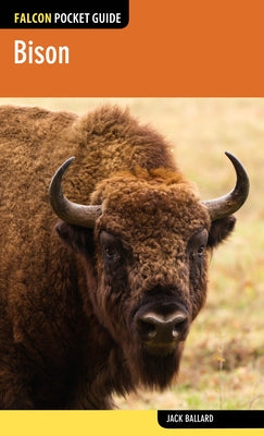 Bison by Ballard, Jack