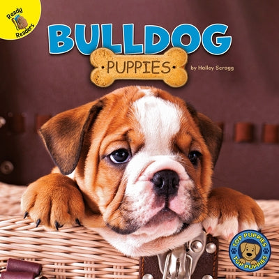 Bulldog Puppies by Scragg, Hailey