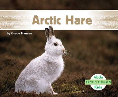 Arctic Hare by Hansen, Grace