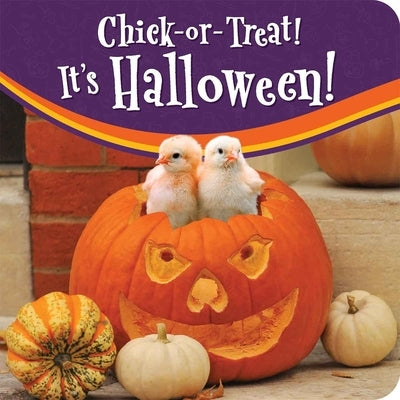 Chick-Or-Treat! by Ordonez, Lynette