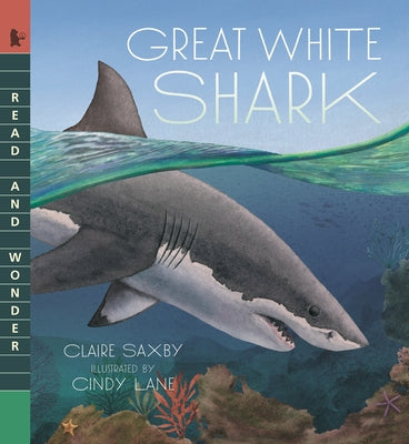 Great White Shark by Saxby, Claire