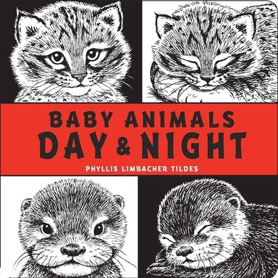 Baby Animals Day & Night by Tildes, Phyllis Limbacher