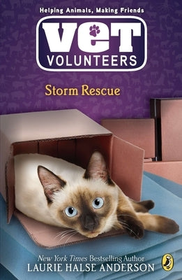 Storm Rescue by Anderson, Laurie Halse