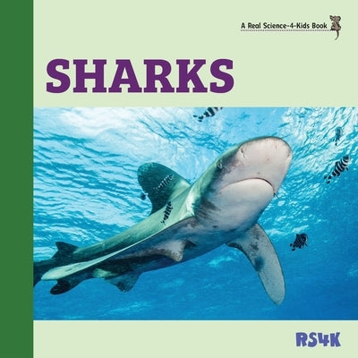 Sharks by Woodbury M. Ed, Rebecca