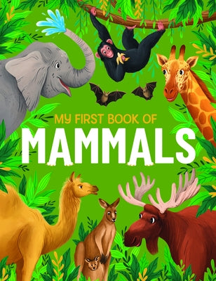 My First Book of Mammals by Konstantynovska, Olga
