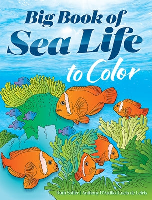 Big Book of Sea Life to Color by Soffer, Ruth