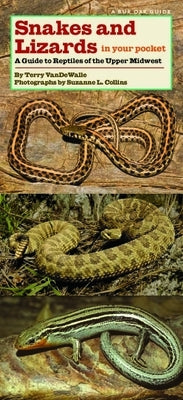 Snakes and Lizards in Your Pocket: A Guide to Reptiles of the Upper Midwest by Vandewalle, Terry