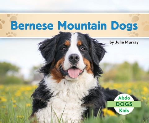 Bernese Mountain Dogs by Murray, Julie